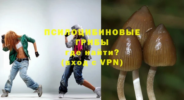 a pvp Алзамай