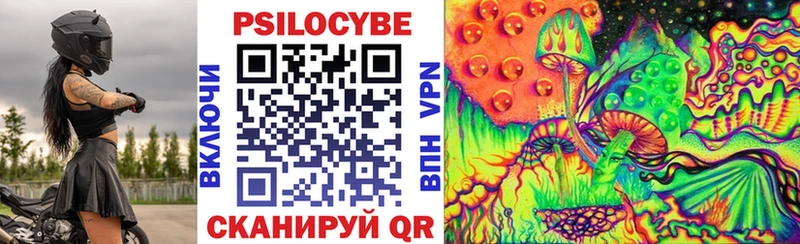 Галлюциногенные грибы Psilocybe Белозерск
